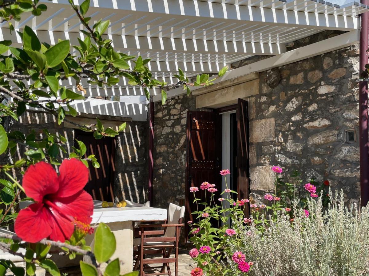Villa La Familia Maison Traditionnelle Plakias Exterior photo